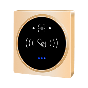 1592191036771254.png CR06R_R.png